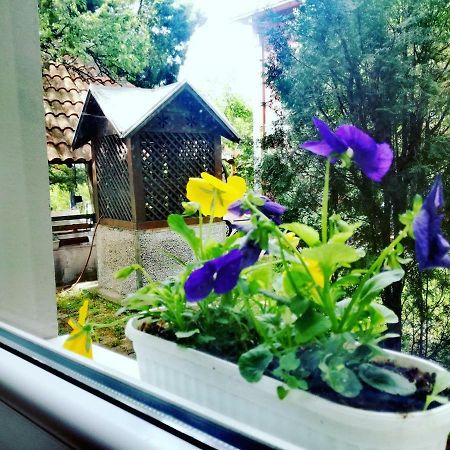 Maslina Rooms Smederevo Exterior foto