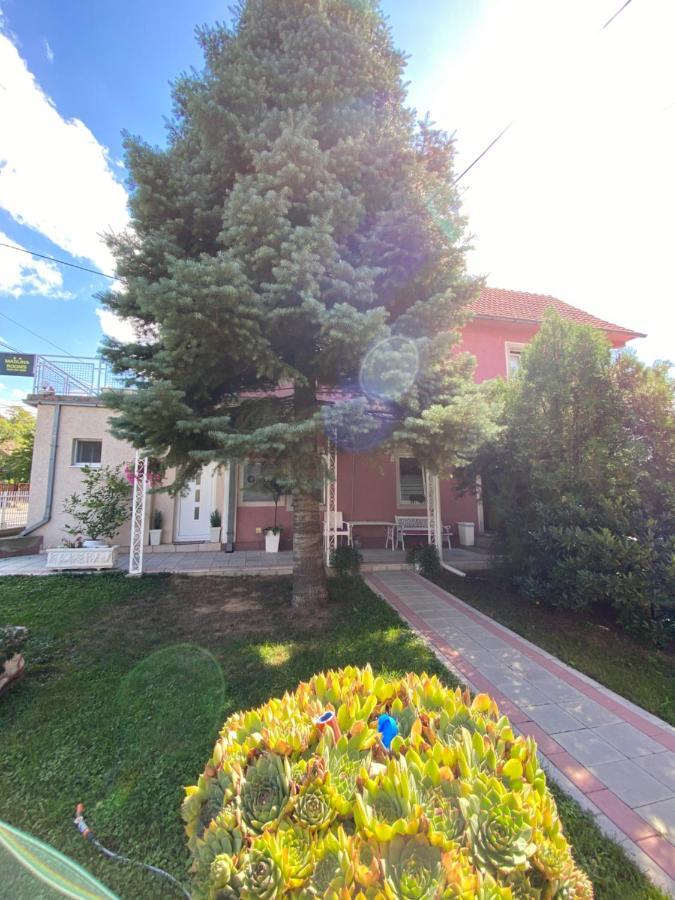 Maslina Rooms Smederevo Exterior foto