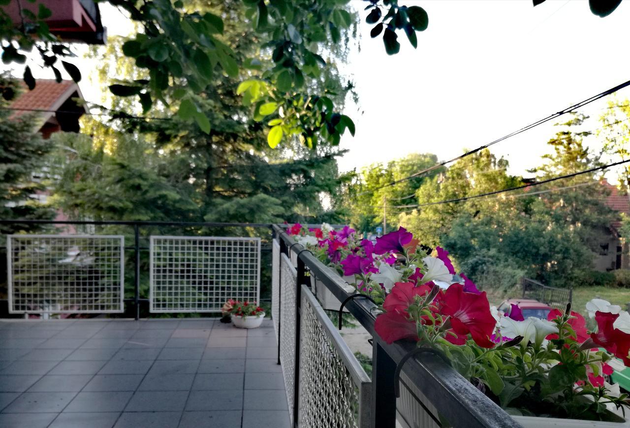 Maslina Rooms Smederevo Exterior foto